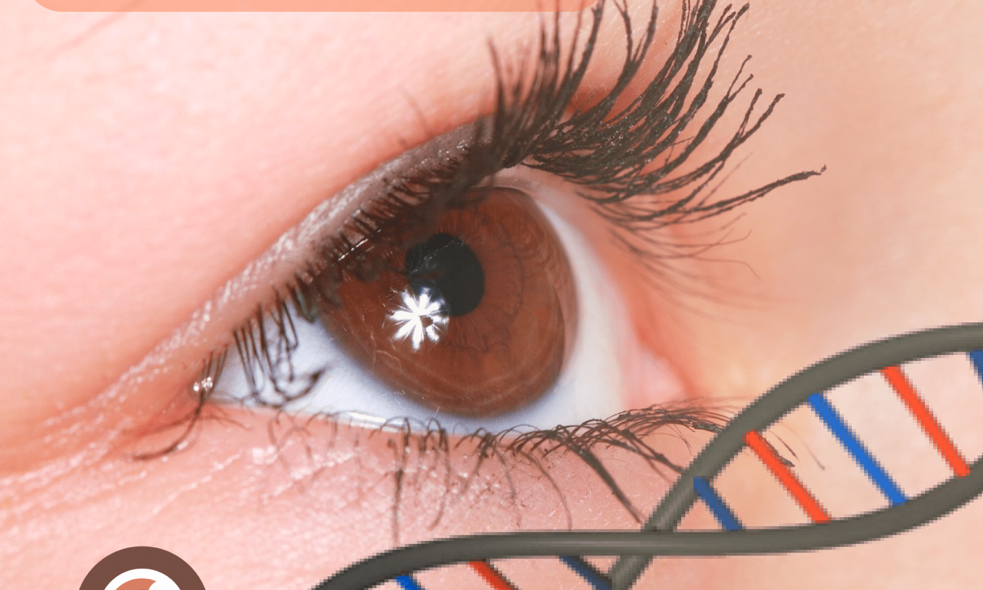 #PraCegoVer imagem de um olho castanho olhando para frente, o olho está de perfil e abaixo a direita há uma representação de um fragmento de filamento de DNA; Está escrito:"Distrofias Hereditárias da Retina" e há a fita do Abril Marrom e as logos da Retina Brasil e da Bayer