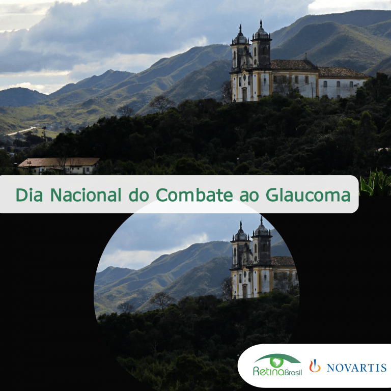 #PraCegoVer imagem ilustrativa. NA imagem há duas fotografia iguais, uma na parte superior e outra na parte inferior. A fotografia na parte ifnerior está com toda a perifieria escurecida, simulando uma perda de Campo Visual típica do Glaucoma. Está escrito "Dia Nacional do Combate ao Glaucoma" e há as logos da Retian Brasil e na Novartis.