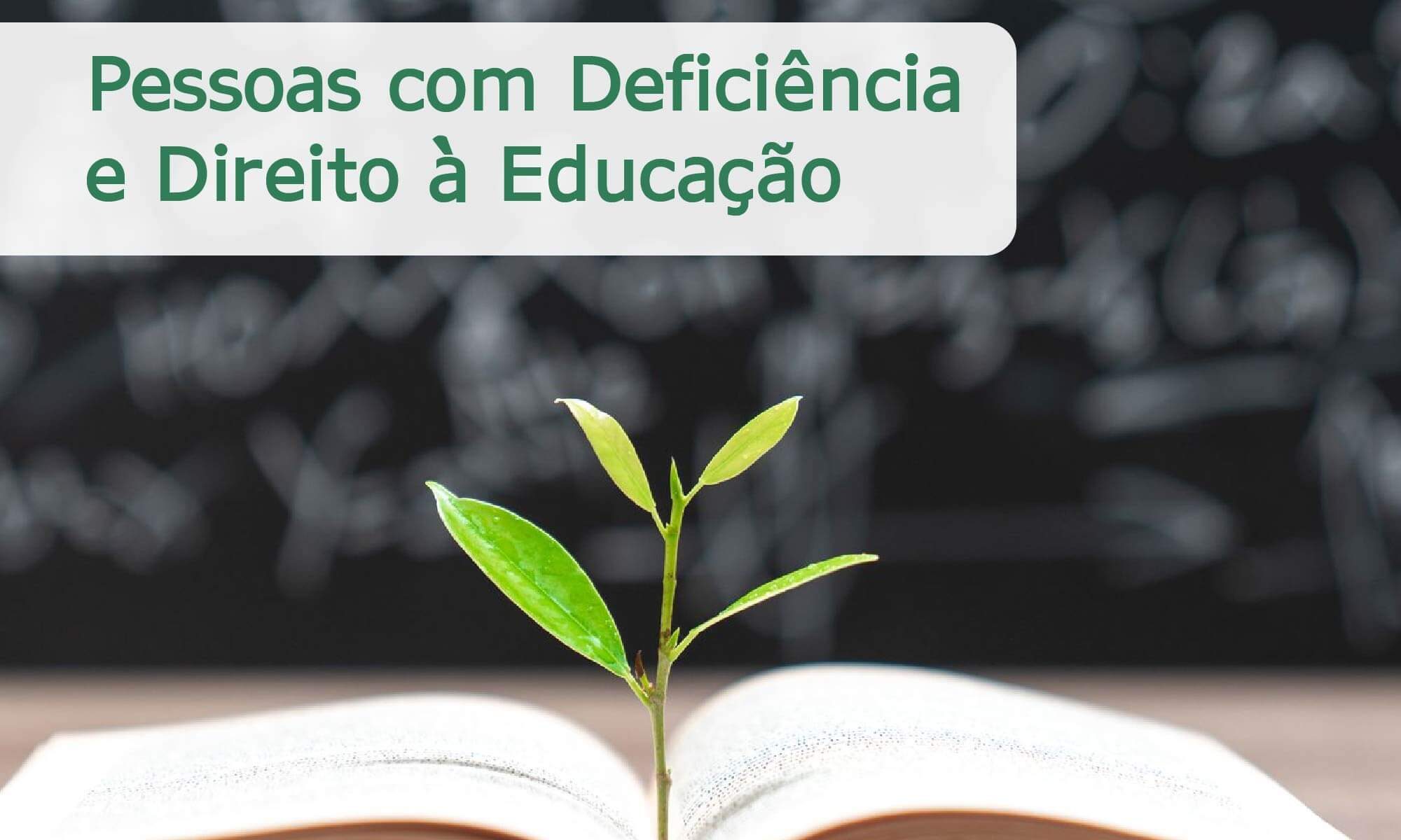 #DescriçãoDaImagem. Imagem de um livro aberto, do livro sae uma muda de planta, ao fundo está um quadro negro de uma sala de aula. Está escrito: "Pessoas com Deficiência e Direito à Educação" #direitos e há a logo da Retina Brasil.