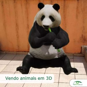 #DescriçãoDaImagem. Imagem Ilustrativa. A imagem contém um urso panda comendo um bambu, sentado no quintal de uma casa. A imagem traz o título "Vendo animais em 3D" e a logo da Retina Brasil está no canto inferior direito.