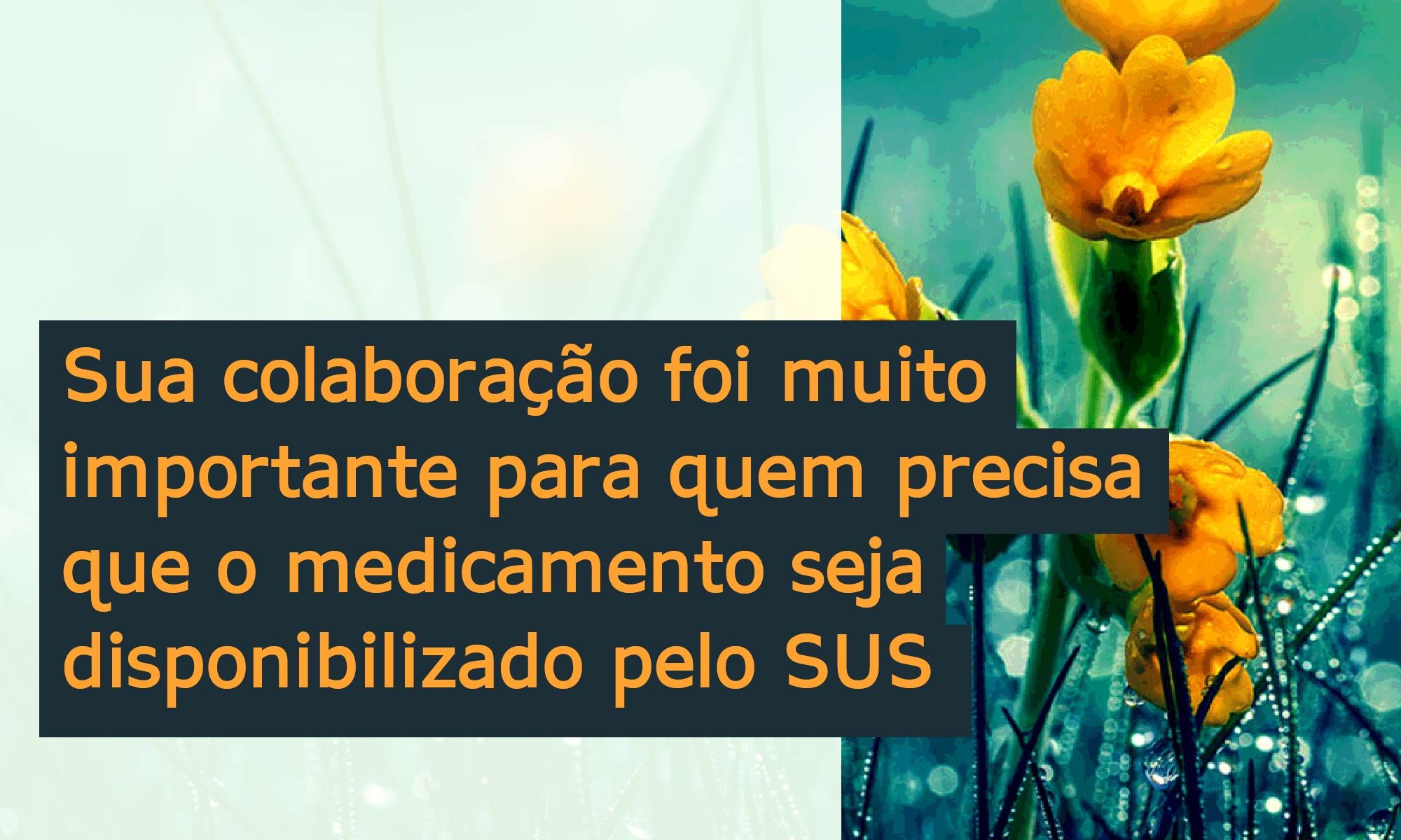 Ao fundo aparece uma foto de uma flor. O texto no topo diz: OBRIGADA!. No centro, alinhado à esquerda o texto diz: Sua colaboração foi muito importante para aqueles que necessitam que o tratamento seja disponibilizado pelo SUS. No canto inferior esquerdo há a logo da Retina Brasil e no centro a #RPE65.