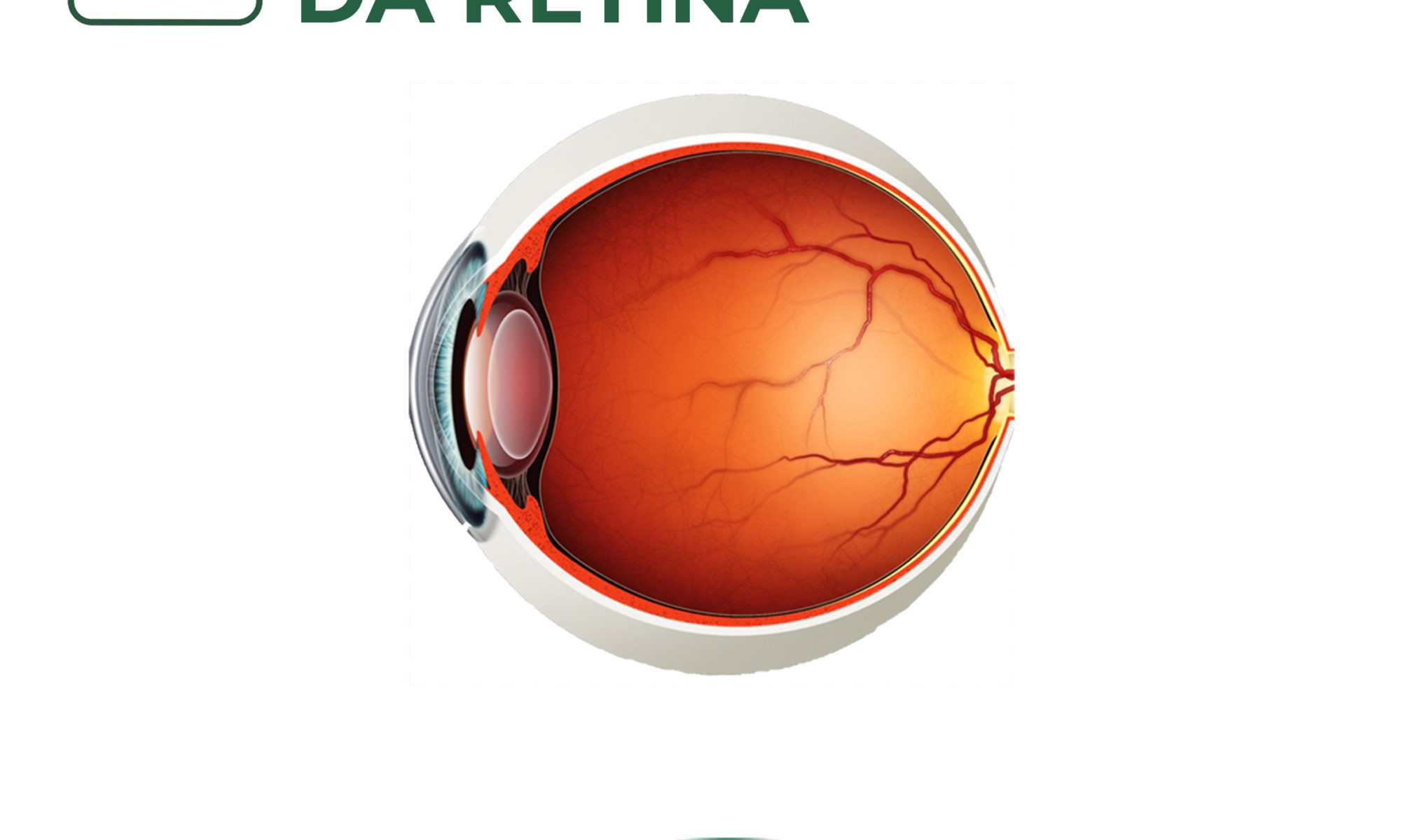 Doenças da Retina